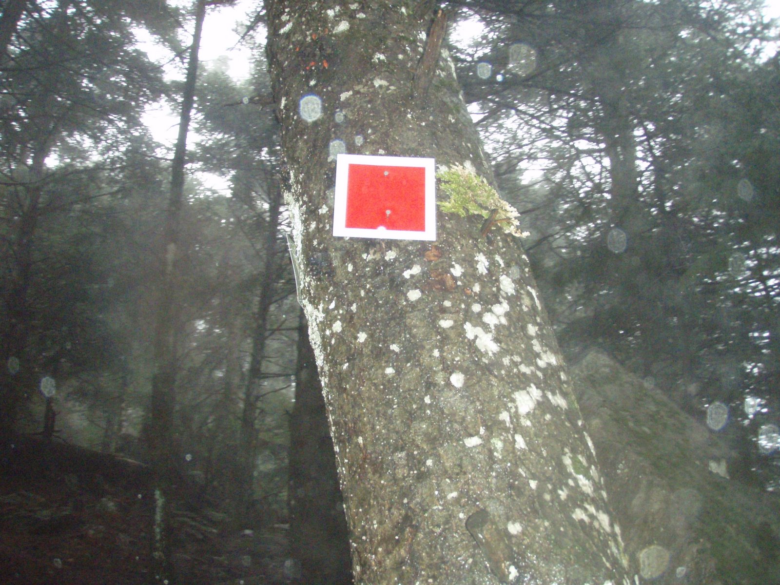 [p1032420.jpg]