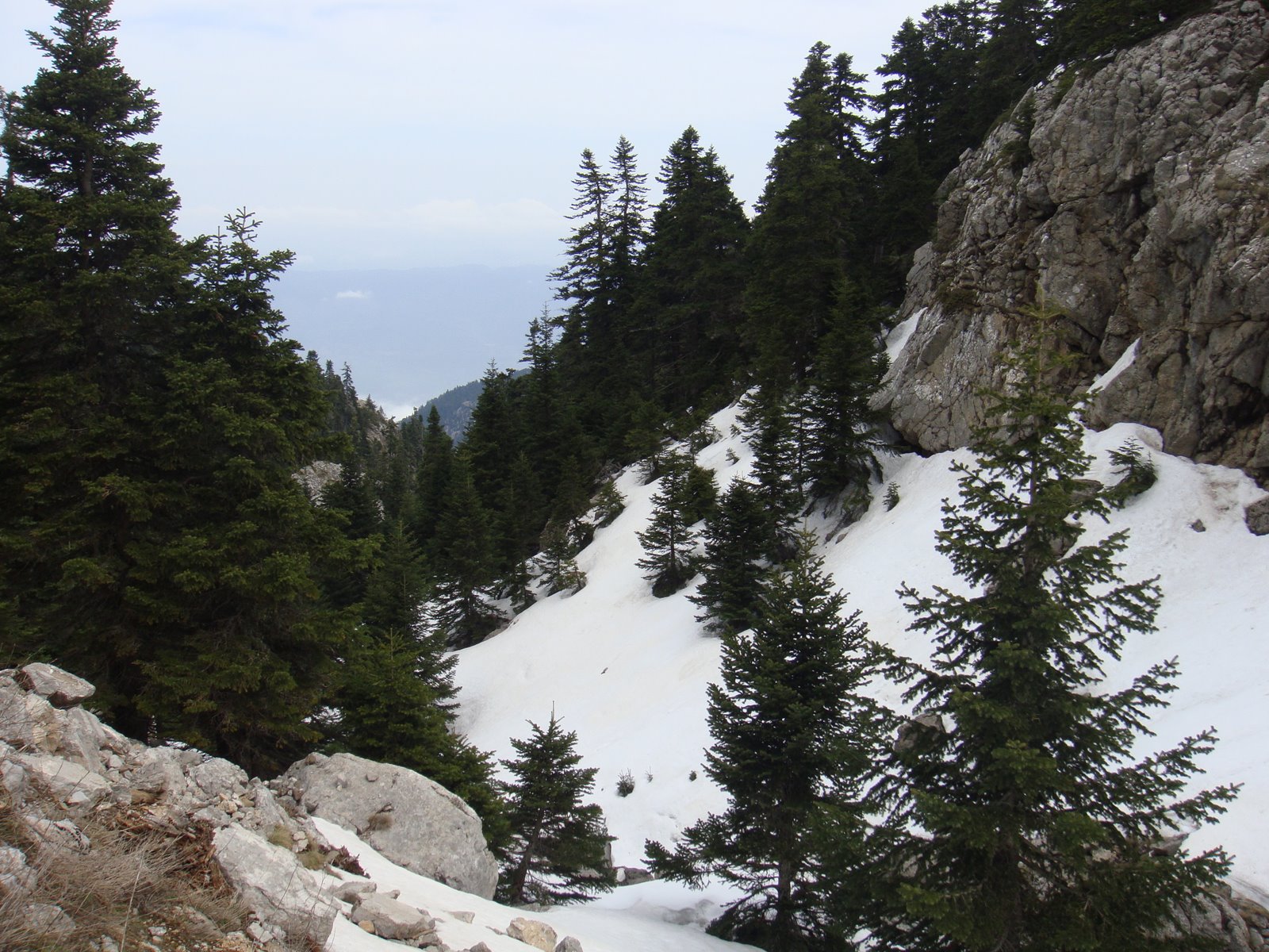 [Εικόνα+103.jpg]