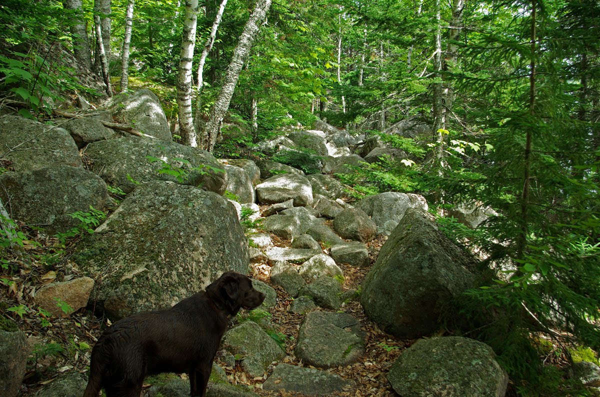 Hiking in Maine with Kelley 7/20/10 Eagle Lake Conners Nubble N