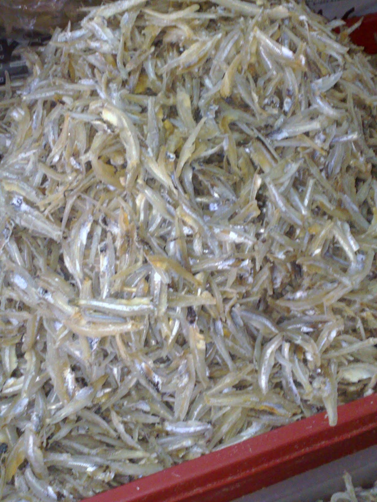 pengedar ikan bilis,udang kering,amplang,melinjo