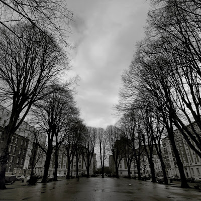 photo de Liège, place bordée d'arbre, avenue reine Elisabeth, quartier des Vennes, photo © dominique houcmant