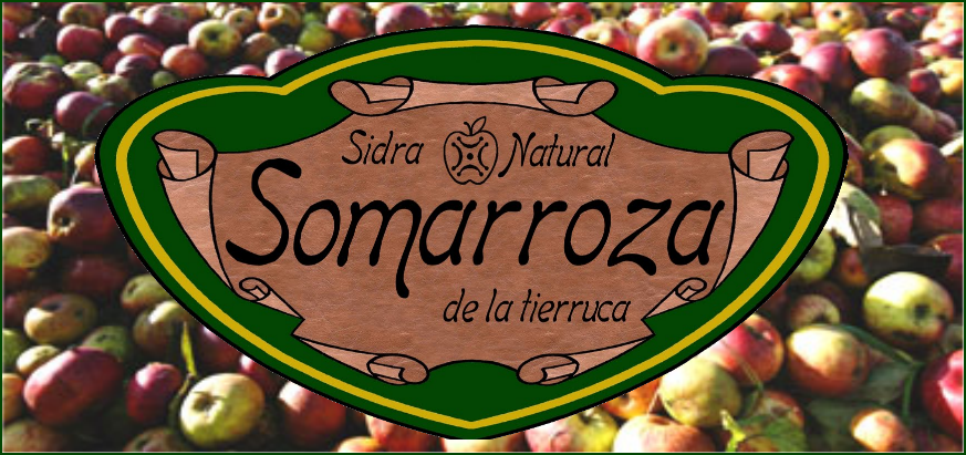 Sidra Somarroza