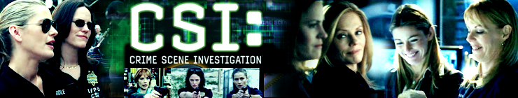 Watch CSI Online