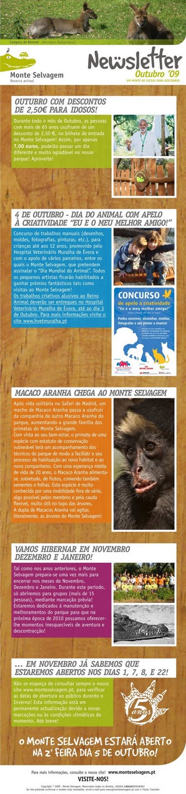 [newsletter_OUT.jpg]