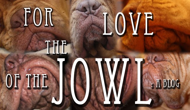 For the Love of the Jowl: a Blog