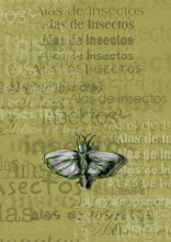 Alas de Insecto (Alea Blanca, 2006)