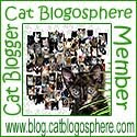 The Cat Blogosphere
