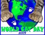 Happy World Cat Day to All