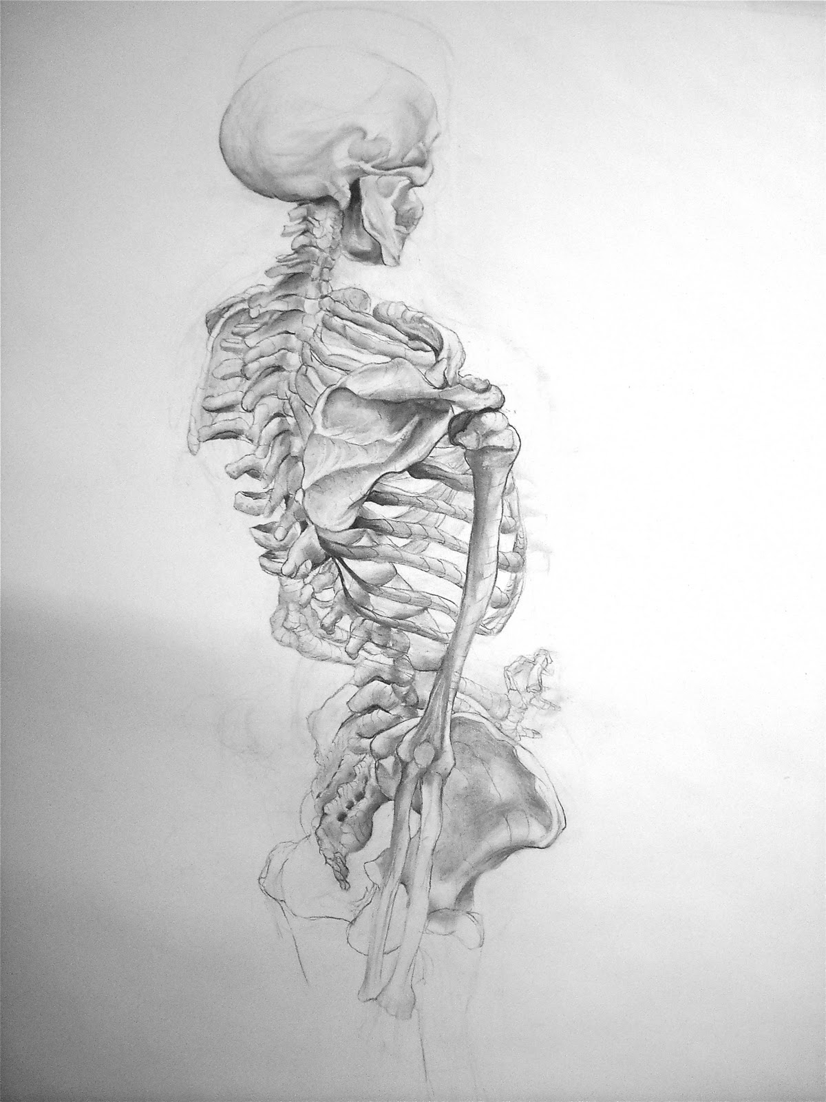 Simple Skeleton Drawing Sketch for Kindergarten