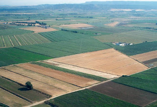 El día 4 de diciembre se inció en la Comunidad Autónoma de Aragón el pago único de la Política Agraria Común (PAC) a los agricultores y ganaderos aragoneses