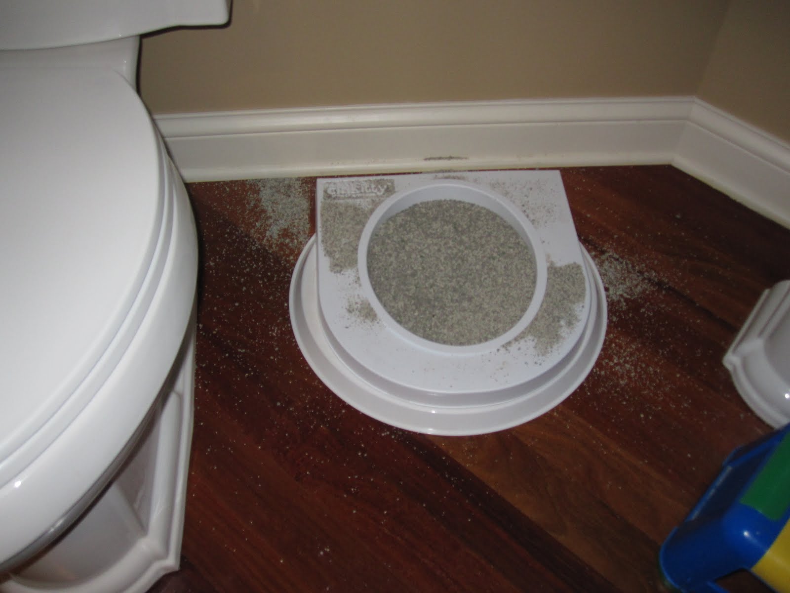 How To Toilet Train A Cat Cat Lover Cat Training