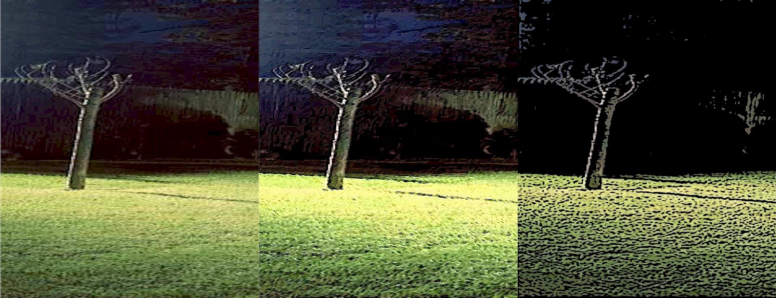 [the+andrew+tree+collage.jpg]