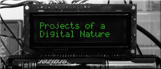 Projects of a Digital Nature