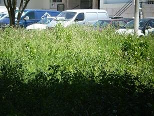 [01-03+24.06.2008+V.JPG]