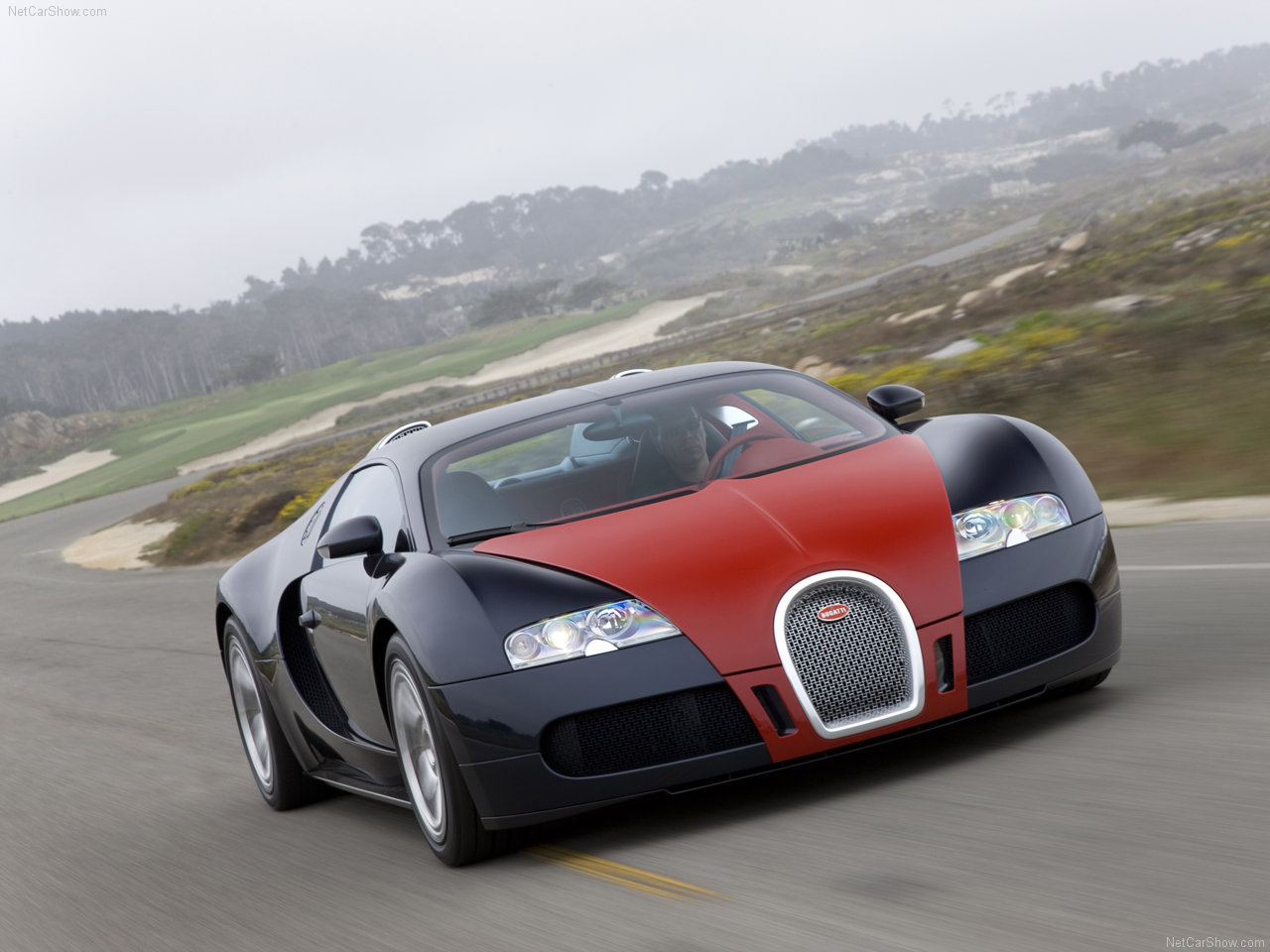 افضل شركة تمويل سيارات Bugatti-Veyron_Fbg_par_Hermes_2009_1280x960_wallpaper_06