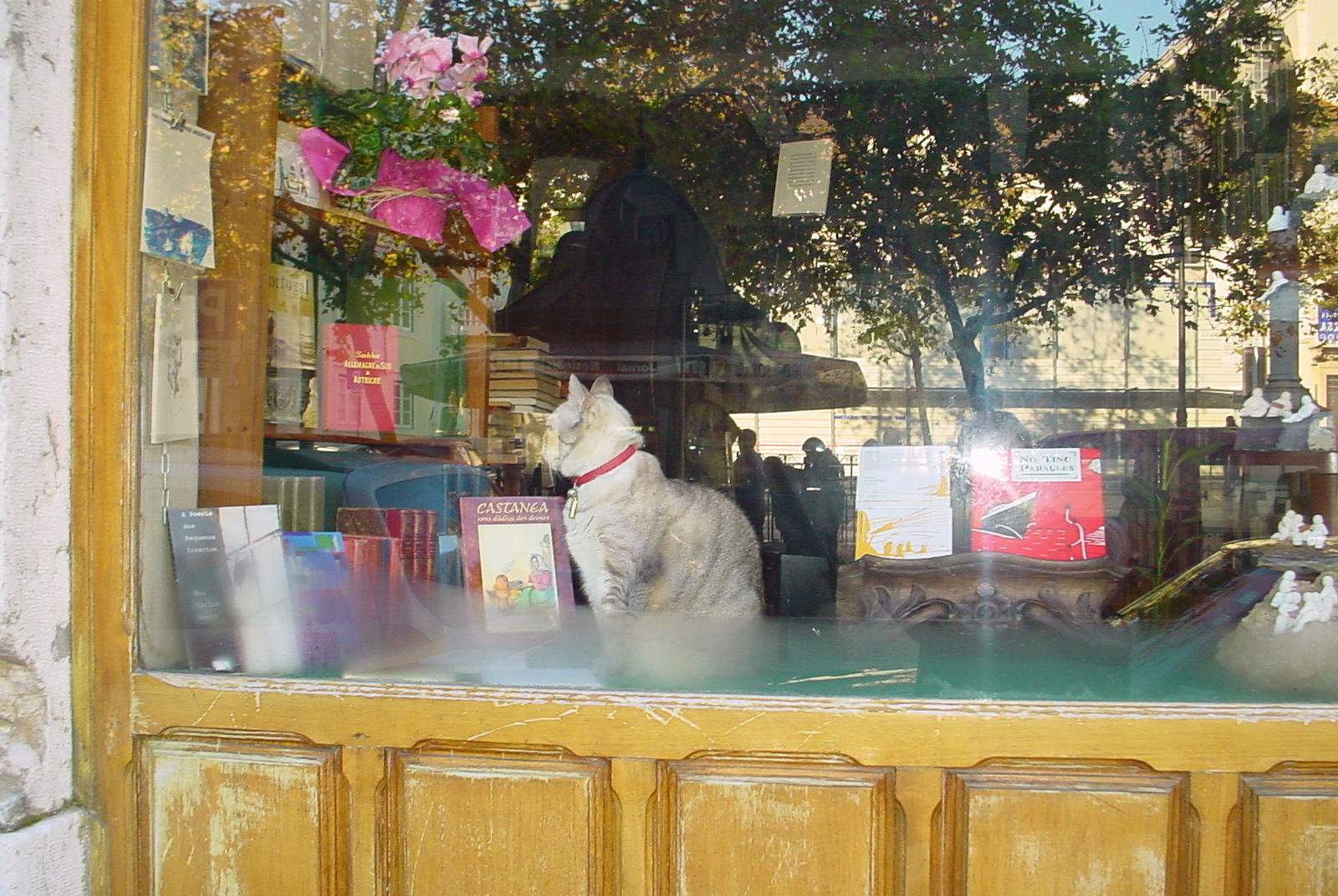 [largo+da+misericórdia.JPG]