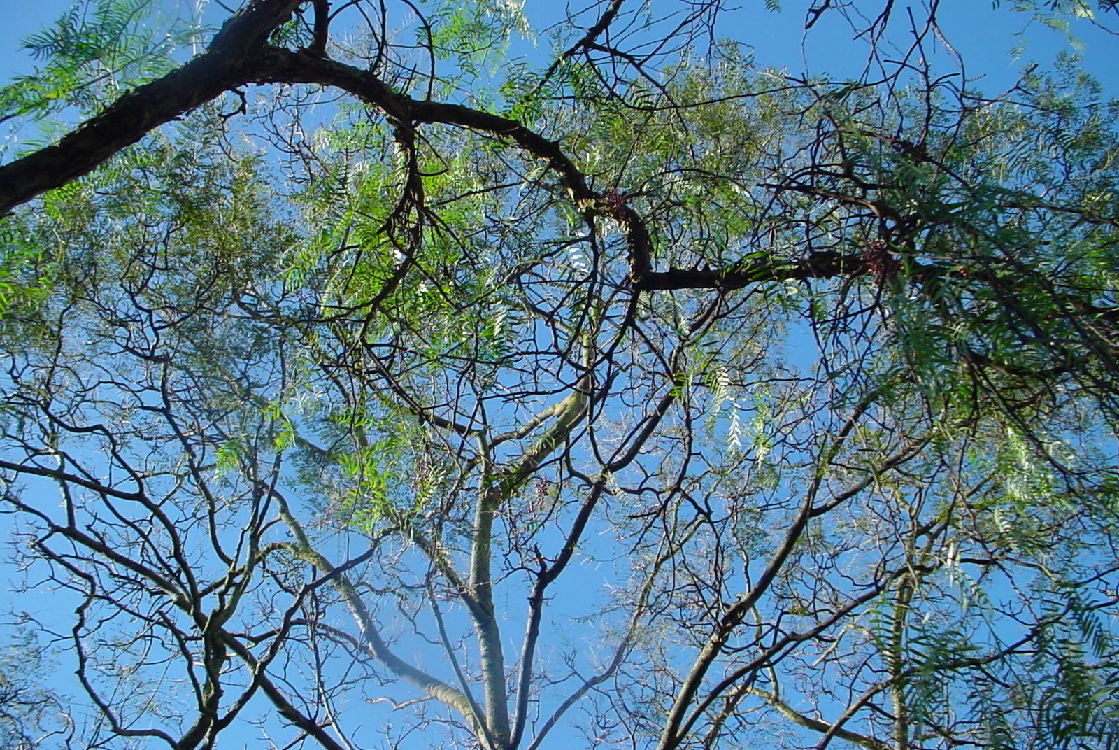 [30.01.2010+014.jpg]