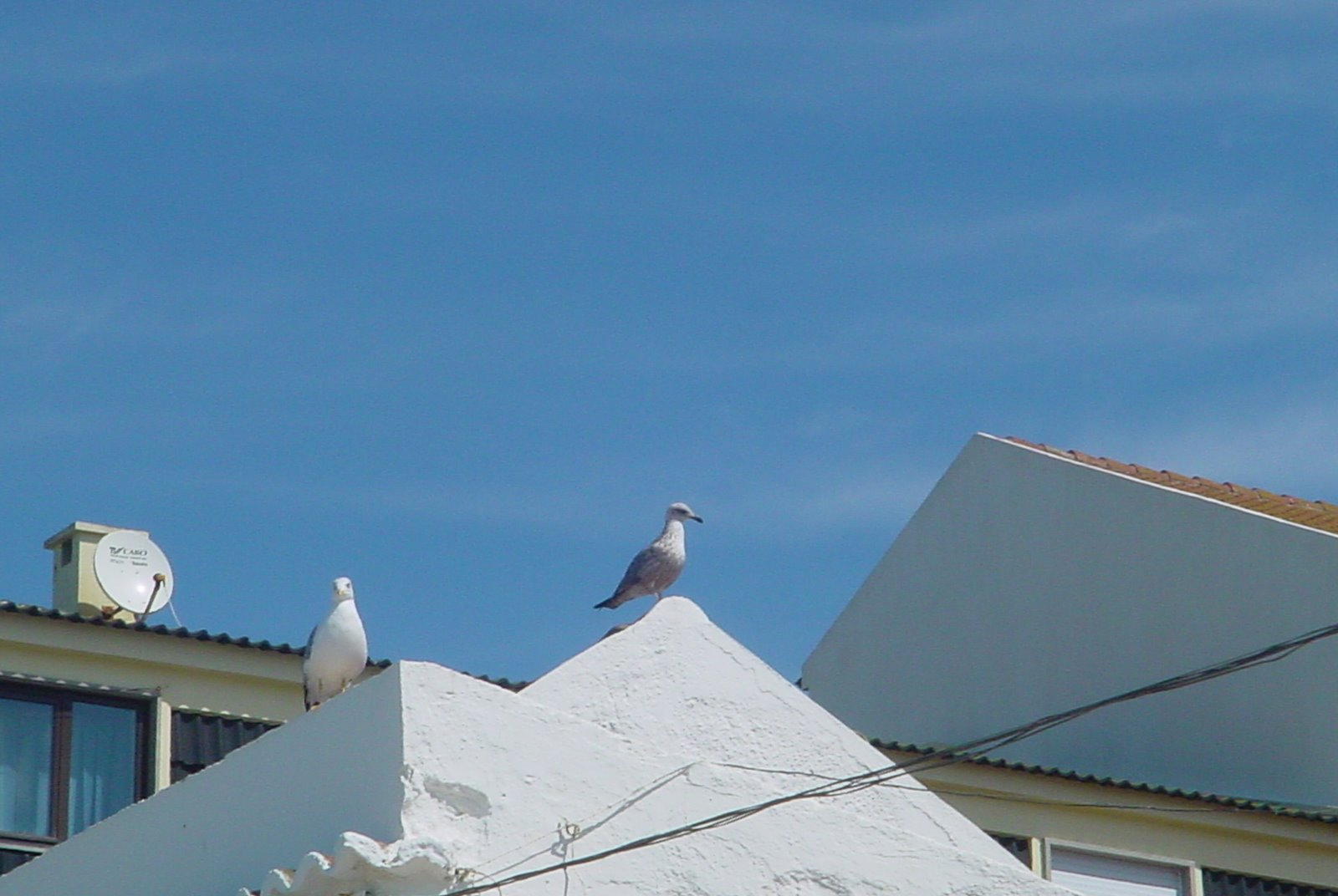 [ericeira220906+007.jpg]
