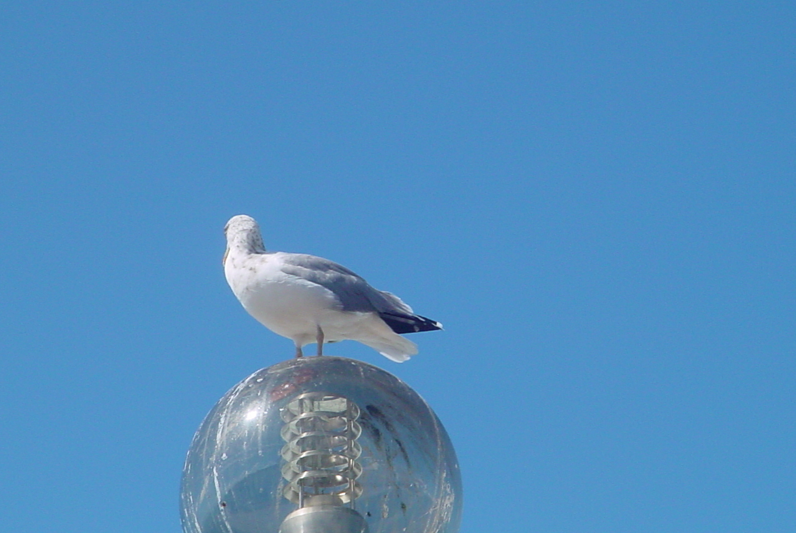 [ericeira220906+008.jpg]