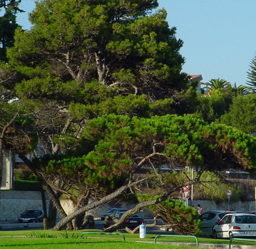 [DSC02395_edited.JPG]