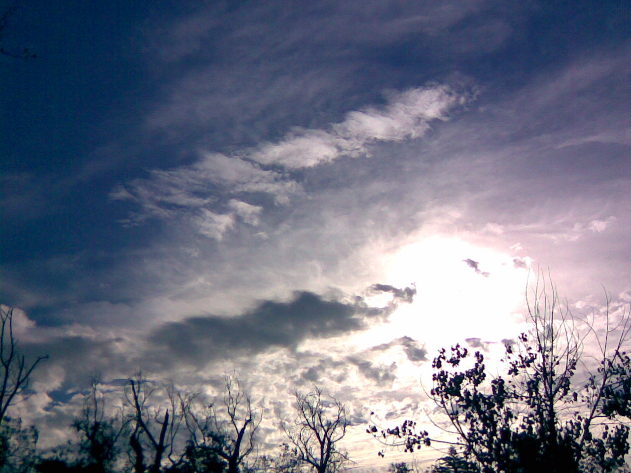[12122007(001).jpg]