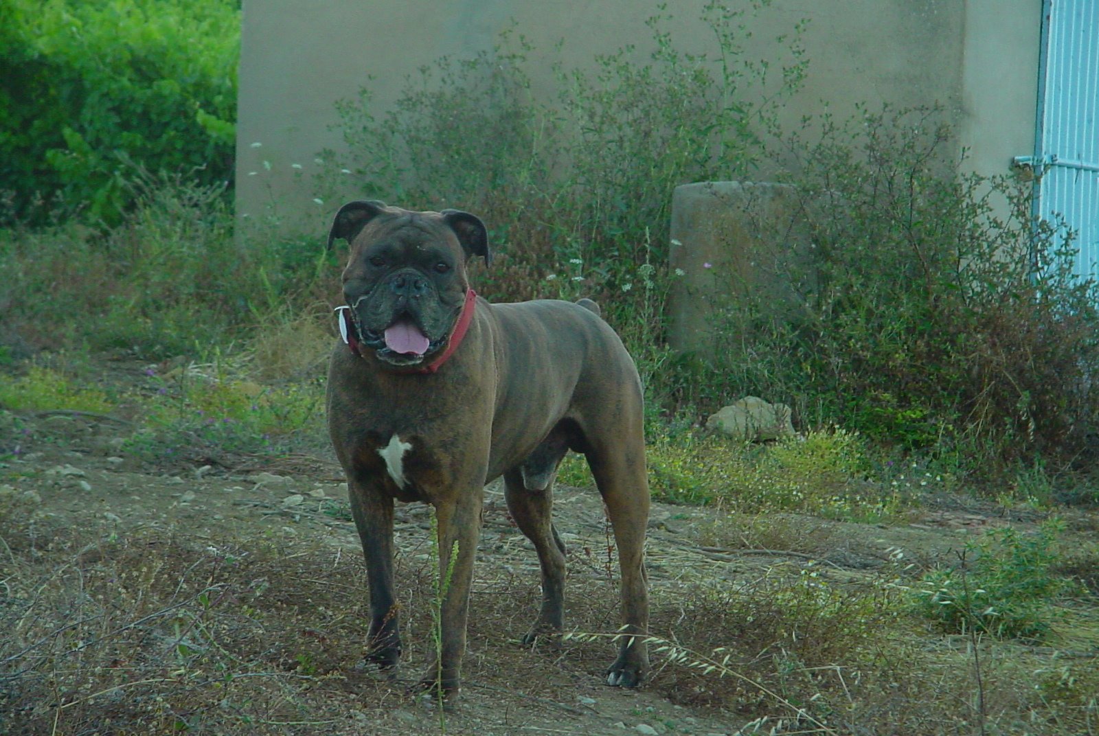 [férias2008+090.jpg]