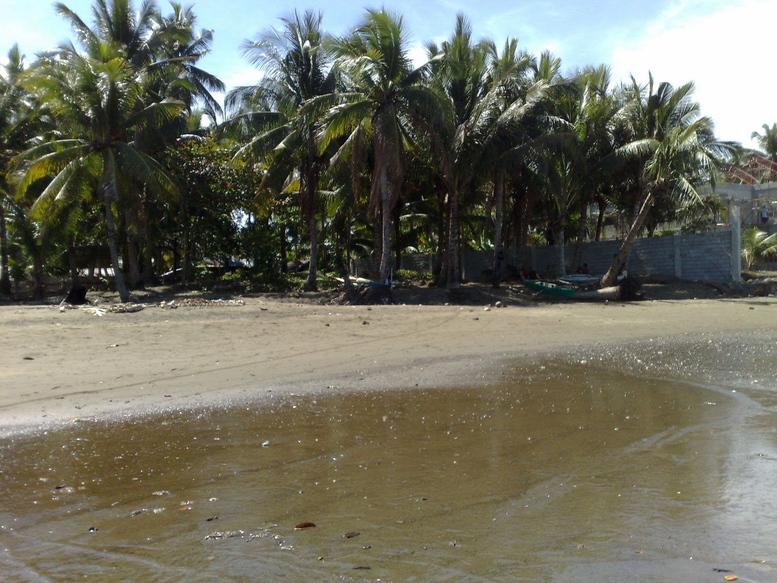 palomponwhatshappening Palompon Real Estate..............Sale and Rentals