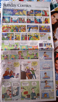 Sunday funnies from the Pioneer Press with six different strips crammed in