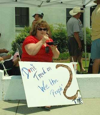 Don't tread one we the people, plus a snake and the word Taxes down in the corner
