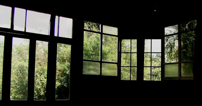 VISTA DESDE INTERIOR DEL QUINCHO