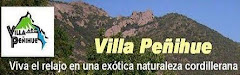 LINK A VILLA PEÑIHUE - HOME