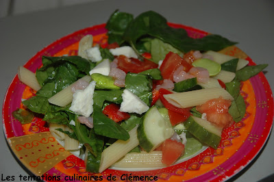 Salade de penne aux légumes multiples, crevettes et sauce moutardée recettes entrees Salade aux pousses de soja