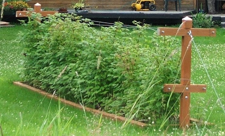 Wasilla Alaska Garden Adventures: About Chateau Listeur... the name