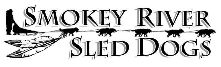 smokey river sleddogs