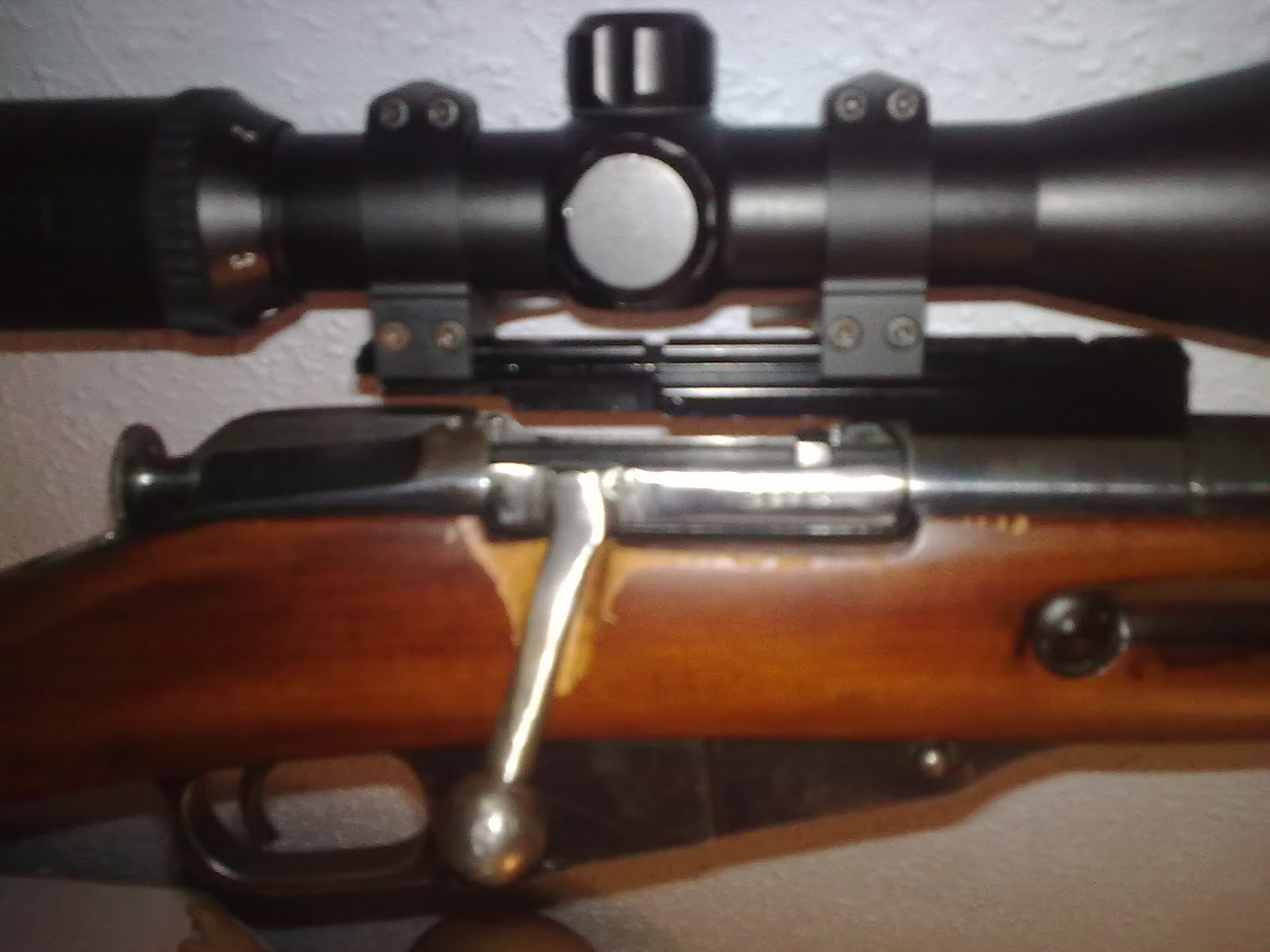 La Caza en el Siglo XXI