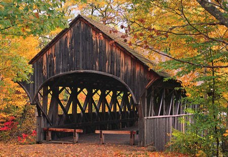 Updates, Live: A Story with a Covered Bridge