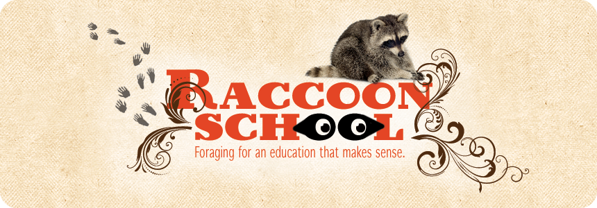Raccoon School