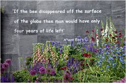 "If the bee disappeared..." A. Einstein