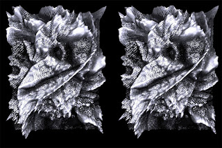 Fine Art Photography 3D Abstract Sterogram