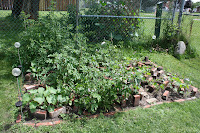 garden summer of 2009 cucumbers, blue potatoes, bell peppers, green beans, cherry tomatoes, beefsteak tomatoes