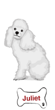 [dog_6_small.png]