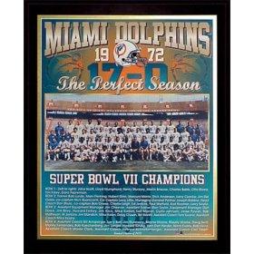 [1972+Dolphins.jpg]