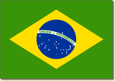 [brazil+flag.gif]