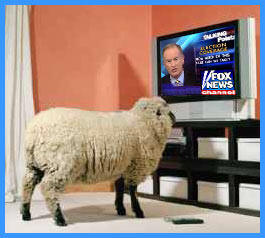 [Fox+News+Sheeple.jpg]