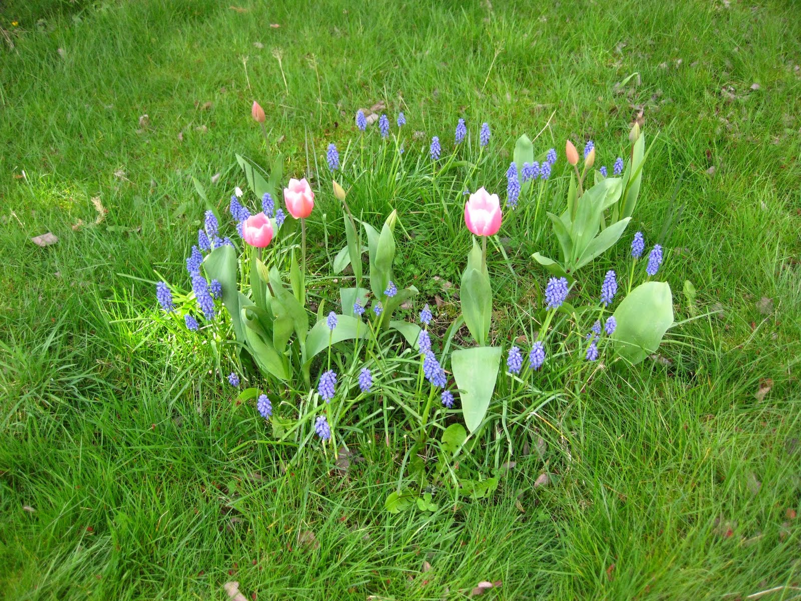Saints and Spinners Fairy Ring
