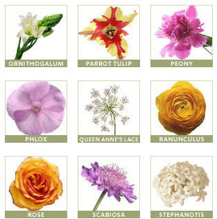 Kiss the Bride: Flower Guide...
