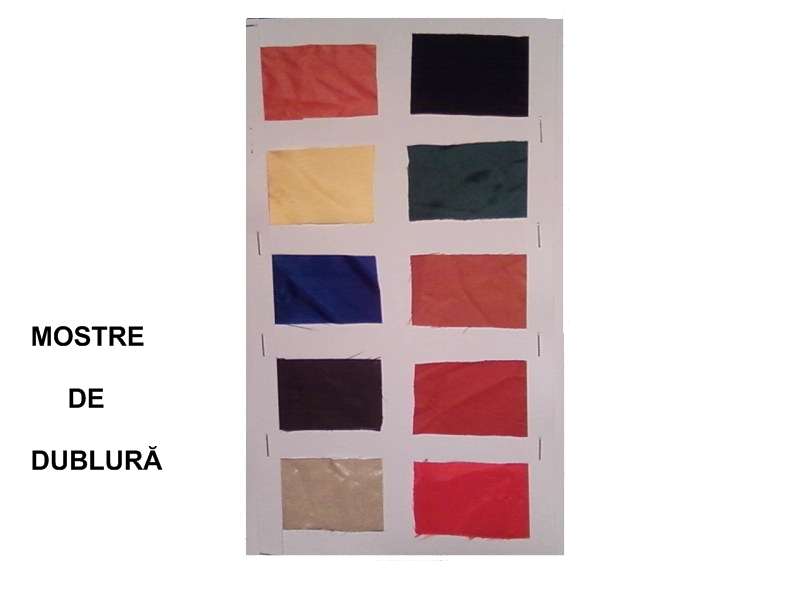[MOSTRE+DUBLURA++PRELUCRAT+SCRIS.jpg]