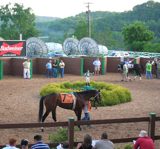 Deputy Glitters in the paddock at Mountaineer Memorial Day 2007