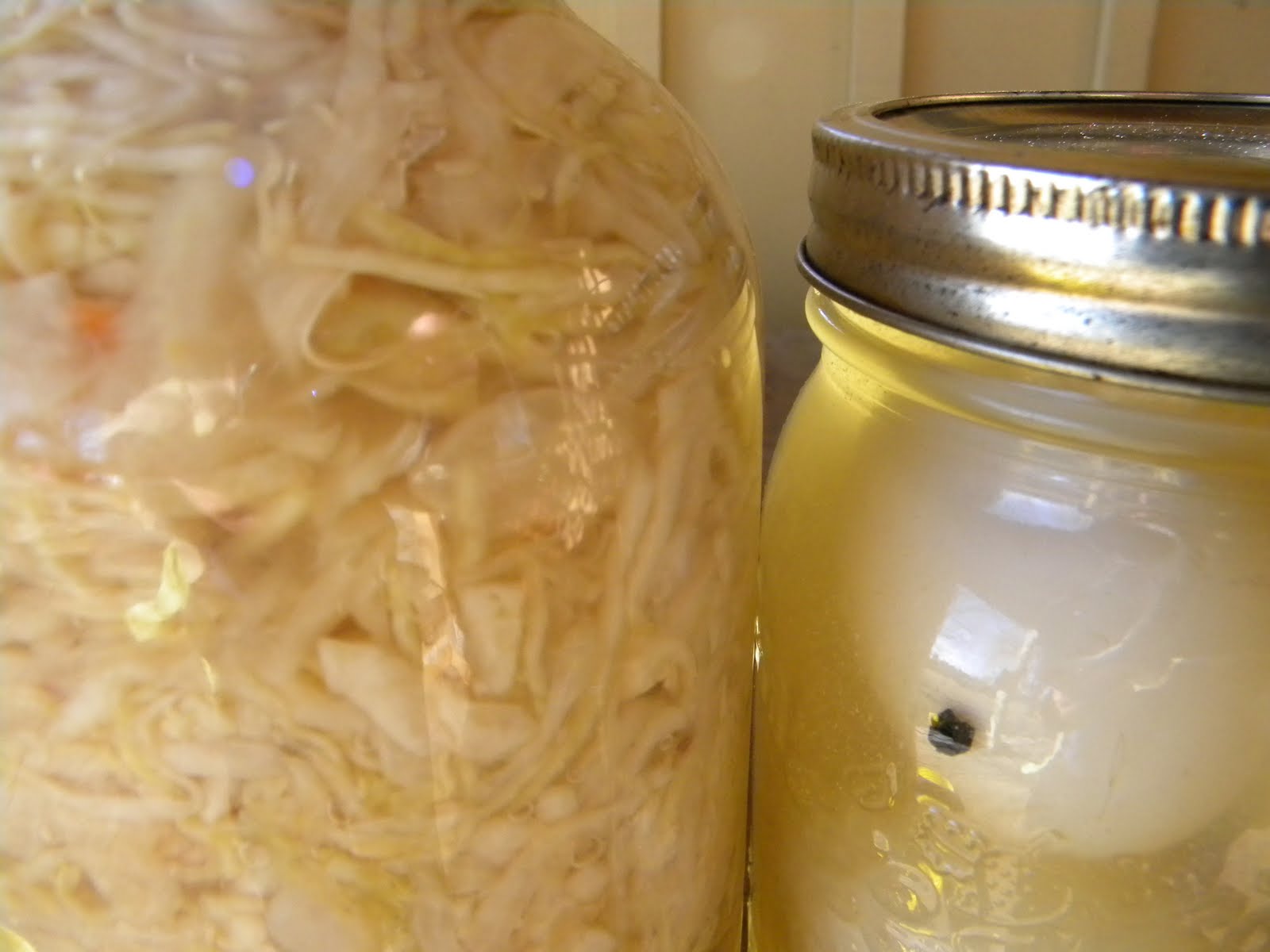 Harvest Kitchen Sisters sauerkraut and pickled eggs...