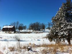 Winter on the farm
